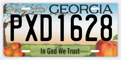 GA license plate PXD1628