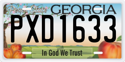 GA license plate PXD1633