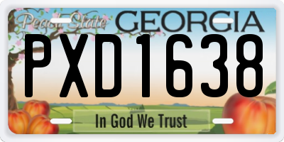 GA license plate PXD1638