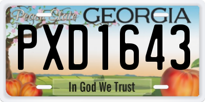 GA license plate PXD1643