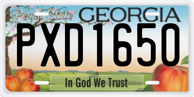 GA license plate PXD1650