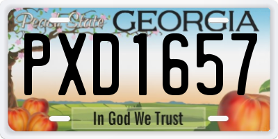 GA license plate PXD1657