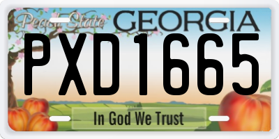 GA license plate PXD1665