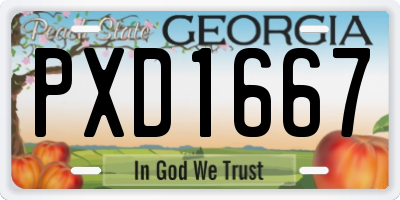 GA license plate PXD1667