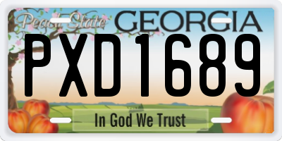 GA license plate PXD1689