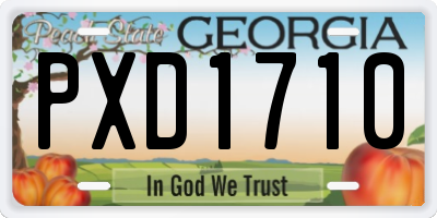 GA license plate PXD1710