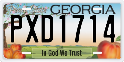 GA license plate PXD1714