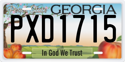 GA license plate PXD1715
