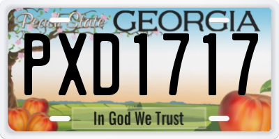 GA license plate PXD1717
