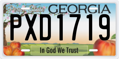 GA license plate PXD1719