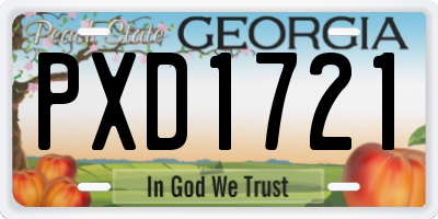 GA license plate PXD1721