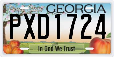 GA license plate PXD1724