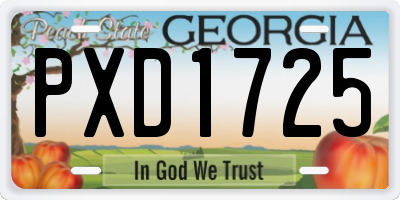 GA license plate PXD1725