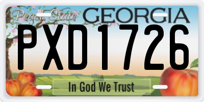 GA license plate PXD1726