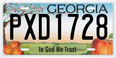 GA license plate PXD1728