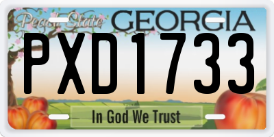 GA license plate PXD1733