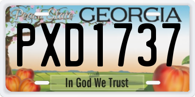 GA license plate PXD1737