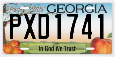 GA license plate PXD1741