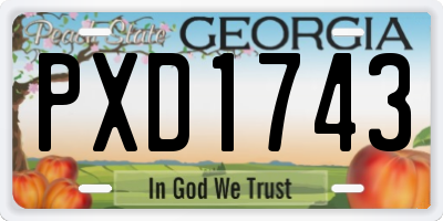 GA license plate PXD1743