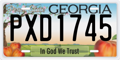 GA license plate PXD1745