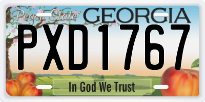 GA license plate PXD1767
