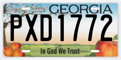 GA license plate PXD1772
