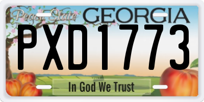 GA license plate PXD1773