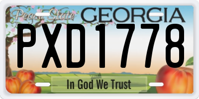 GA license plate PXD1778