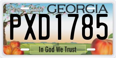 GA license plate PXD1785