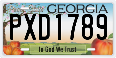 GA license plate PXD1789