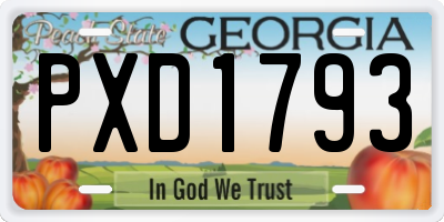 GA license plate PXD1793