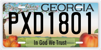 GA license plate PXD1801