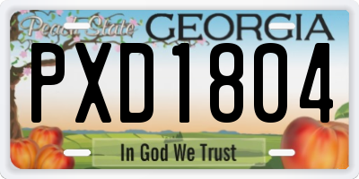 GA license plate PXD1804
