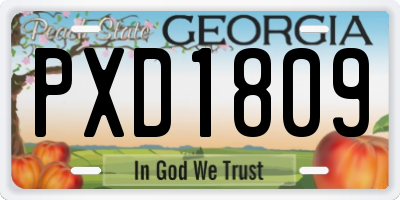 GA license plate PXD1809