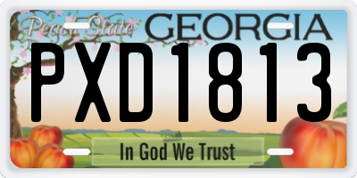 GA license plate PXD1813