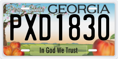 GA license plate PXD1830