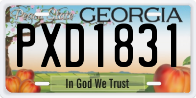 GA license plate PXD1831