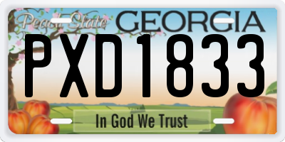 GA license plate PXD1833