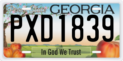 GA license plate PXD1839