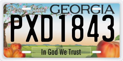 GA license plate PXD1843