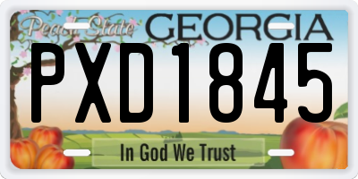 GA license plate PXD1845