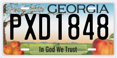 GA license plate PXD1848