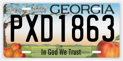 GA license plate PXD1863