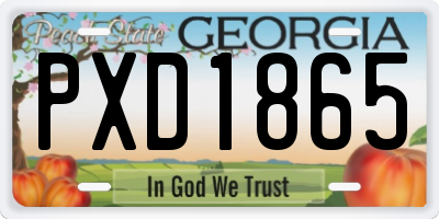 GA license plate PXD1865