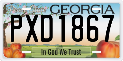 GA license plate PXD1867