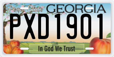 GA license plate PXD1901
