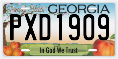 GA license plate PXD1909