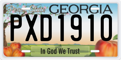 GA license plate PXD1910