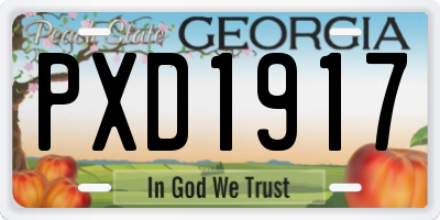 GA license plate PXD1917