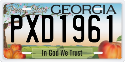 GA license plate PXD1961